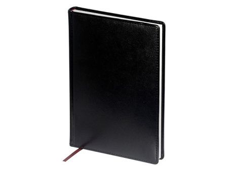 Ежедневник недатированный А4 «Sidney Nebraska»