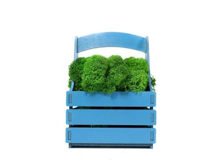 Композиция «Корзинка со мхом»