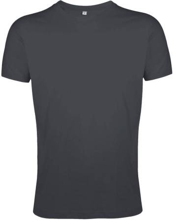 Футболка мужская Regent Fit 150