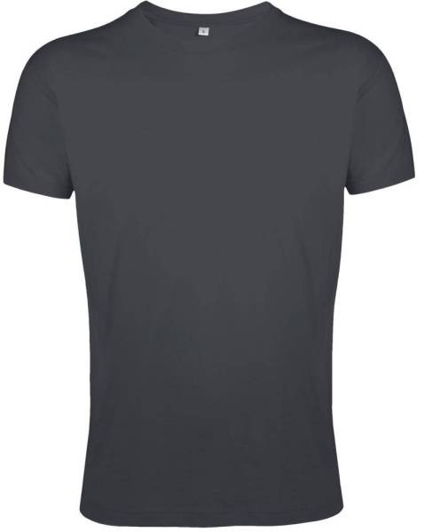 Футболка мужская Regent Fit 150