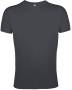 Футболка мужская Regent Fit 150