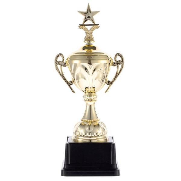 Кубок Top Star Кубок Top Star