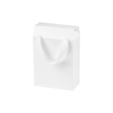 Подарочная коробка-пакет универсальная малая