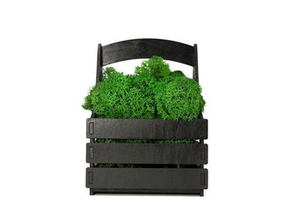 Композиция «Корзинка со мхом»