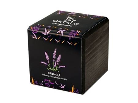 Набор для выращивания «Small village cube «Эхиноцереус»