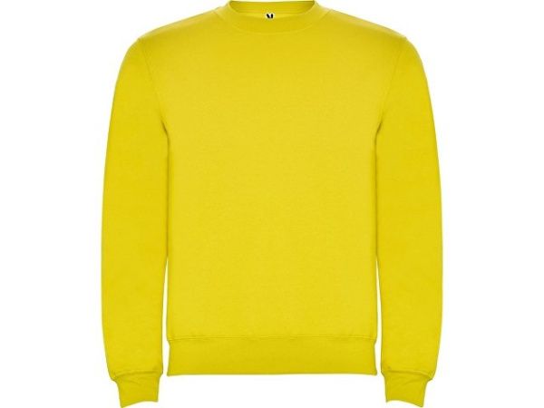 Свитшот с начесом «Clasica» детский Свитшот с начесом «Clasica» детский