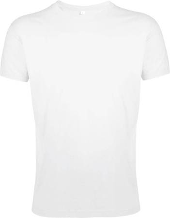 Футболка мужская Regent Fit 150