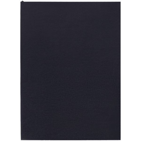 Ежедневник Flat Light, недатированный Ежедневник Flat Light, недатированный