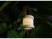 Rombica LED Oko, белый/дерево
