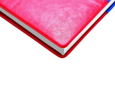 Ежедневник недатированный А5+ "Россия. Флаг"