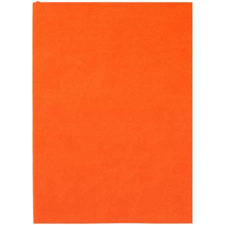 Ежедневник Flat Light, недатированный