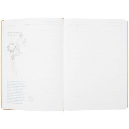 Ежедневник «История изобретений», недатированный, оранжевый