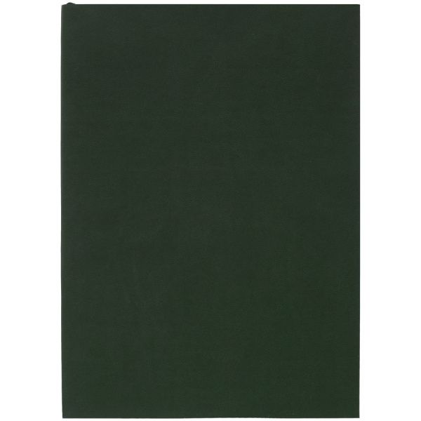 Ежедневник Flat Light, недатированный Ежедневник Flat Light, недатированный