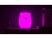 Rombica LED Bear, белый